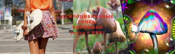 амф Балахна