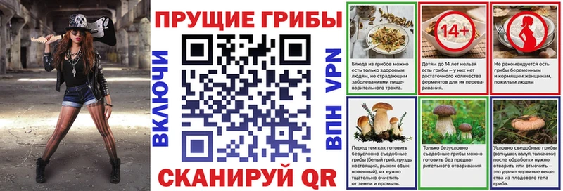 Галлюциногенные грибы Psilocybe  Кондрово 